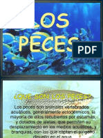 Presentaciondelospecesdiapositivas 130503082949 Phpapp01