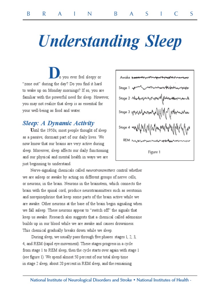 Brain Basics Sleep 6 10 08 Pdf 508 Pdf Pdf Sleep Apnea Sleep