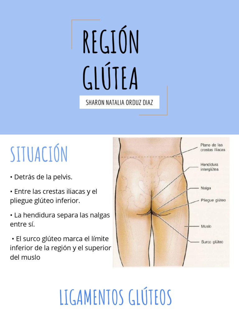 Presentación Sin Título | PDF | Nalgas | Cadera, image size:768x1024