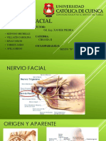 Nervio facial: origen, trayecto y ramos