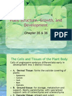 Plant Structure, Growth, and Development: Chapter 35 & 36
