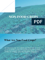 Top 5 Non-Food Crops for Industry