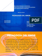 Pedagogia Del Amor