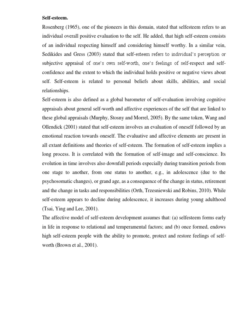 Self Esteem Literature PDF Adolescence Affect (Psychology)
