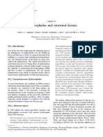 Hydrocephalus and Structural Lesions