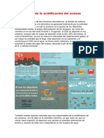 Causas Efectos de La Acidificación Del Océano