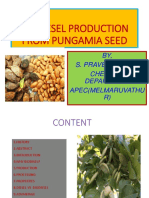 Biodiesel Production from Pungamia Seed