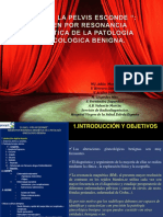 Lo Que La Pelvis Esconde Caracterizacin Mediante Resonancia Magntica de Las Patologa Ginecologica Benigna Copy1