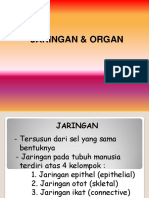 Jaringan & Organ