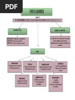 Mapa Conceptual Indicadores