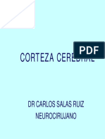 Anatomia - El Cerebro (Salas) PDF