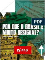 Porque o Brasil É Muito Desigual