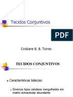 Tecidos Conjuntivos.pdf