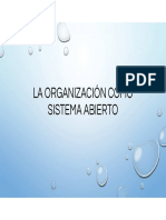 Organización como sistema abierto