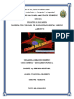 cuestionario.pdf.docx