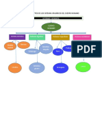 Cuadro Sinóptico de Los Sistemas Orgánicos Del Cuerpo Humano