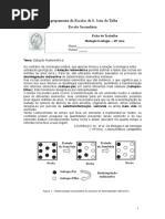ficha_de_trabalho_datacao_radiometrica.doc