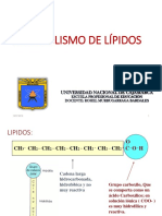 T1 Lipidos Generalid PDF