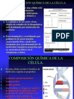 ESTRUCTURA CELULAR.ppt