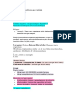 Cocos Gram Positivos Aerobios