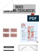 Bases Anatomo Fisiologicas Del EPOC