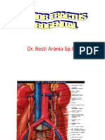 Tumor Urogenital