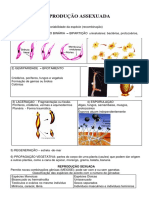 Reprodução assexuada e sexuada: tipos, processos e métodos