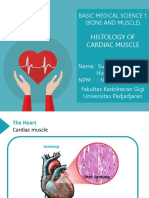 Histology of Cardiac Muscle