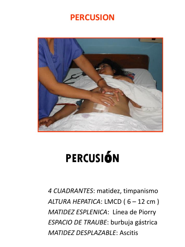 PERCUSION | PDF | Ciencia y matemáticas