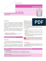 Insuficiencia Renal (Argente)