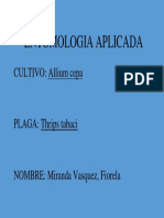 Entomologia Aplicada