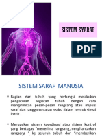 Sistem Syaraf