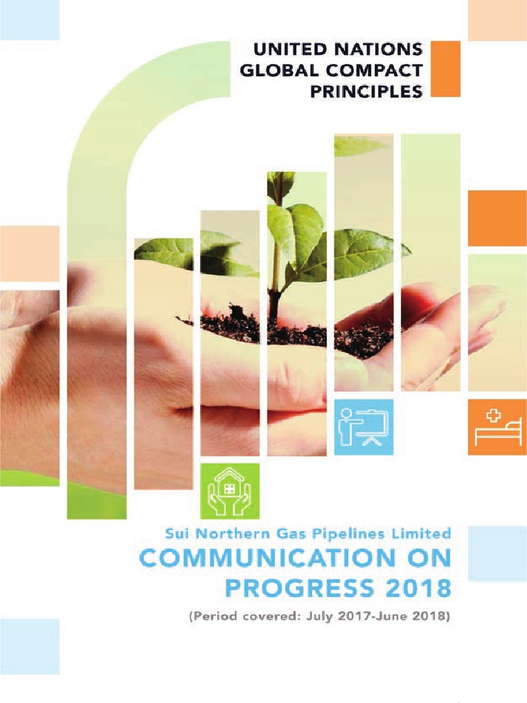 SNGPL 2018 Progress on UN Global Compact | PDF | Corporate Social ...