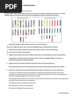 DBQ_3.2_Chromosomes