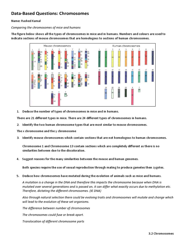 Human and Mouse Chromosome Comparison | PDF | Chromosome | Evolution