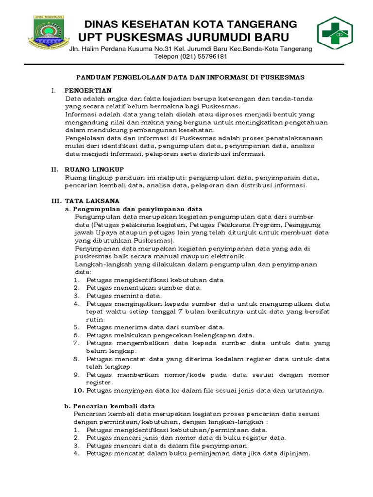 Panduan Pengelolaan Data Puskesmas | PDF | Komputer