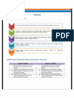 Tissues: Levels of Organisation