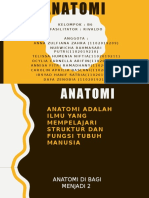 ANATOMI KELUMPOK B6