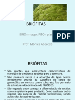 briofitas