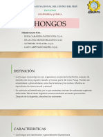 HONGOS