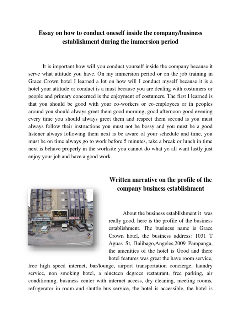 essay on company