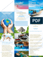 Triptico PDF