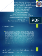 42 Snov Ig1 PDF