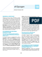 Harpers Biochemistry - Metabolism of Glycogen.pdf