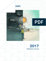 relatorio_anual_2017.pdf