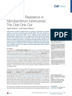 Antimicrobial Resistance in Mycobacterium Tuberculosis: The Odd One Out