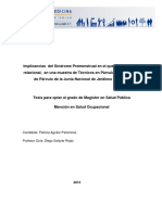 Sindrome Premestrual PDF