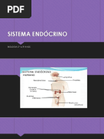 0c64471e290d622bdeb0f4e4aa52e317