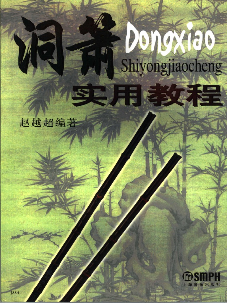 Flauta Xiao | PDF
