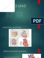 Ekg 12 Lead